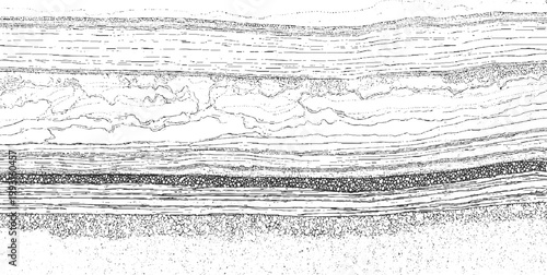 Detailed black and white line of geological strata showing distinct layers of sediment and rock formations