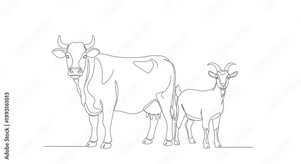 Fototapeta premium Line art illustration of a cow and goat standing side-by-side on a white background.