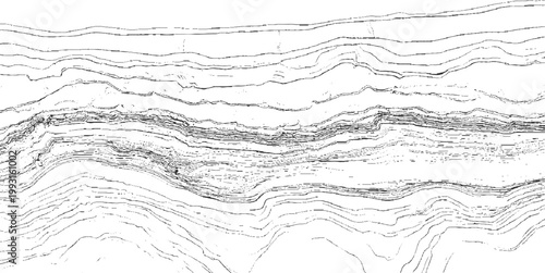 Abstract black and white contour lines representing geological strata or topographical map