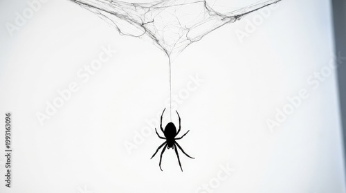 A hanging spider silhouette descending from a delicate web, isolated on a white backdrop with eerie Halloween mood and crisp dark contrast, ultra-realistic, no logos.