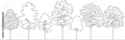 Minimalist vector line art illustration of a row of seven diverse deciduous trees in architectural elevation style for landscape design projects
