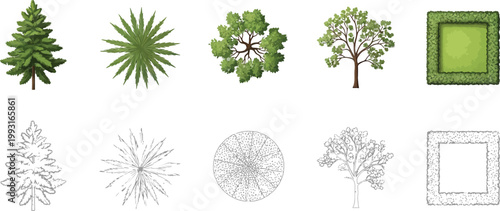 Set of Architectural Landscape Trees and Shrubs Top View Icons in Both Colored and Line Art Styles