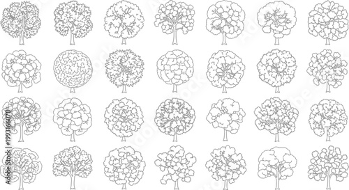 Set of Hand Drawn Sketch Style Deciduous Trees Isolated on White Background for Architectural Landscape Design and Planning