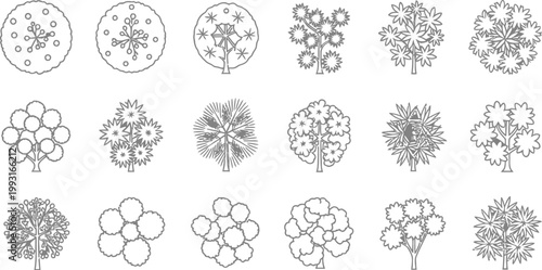 Set of Eighteen Architectural Tree Symbols for Landscape Design Plans and Site Mapping Vector Illustration in Minimalist Line Art Style