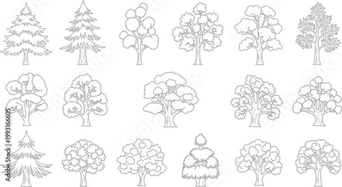 Set of Hand Drawn Forest Tree Silhouettes and Outline Icons for Nature Design Projects and Botanical Illustrations