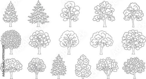 Set of Sixteen Hand Drawn Vector Tree Silhouettes Featuring Diverse Deciduous and Coniferous Species for Botanical Design Projects