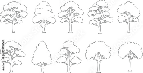 Set of Ten Hand Drawn Tree Silhouettes Isolated on White Background for Landscape Design and Architectural Sketching Projects