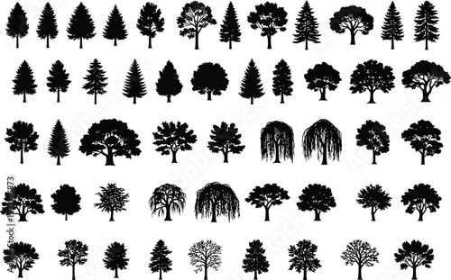 Comprehensive Collection of Diverse Tree Silhouettes Featuring Coniferous and Deciduous Species for Architectural Landscaping and Graphic Design Projects