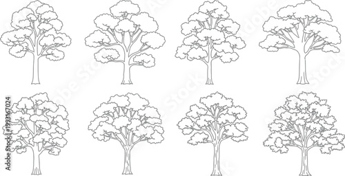 Set of Eight Hand Drawn Deciduous Tree Silhouettes Isolated on White Background for Graphic Design and Nature Illustration Projects