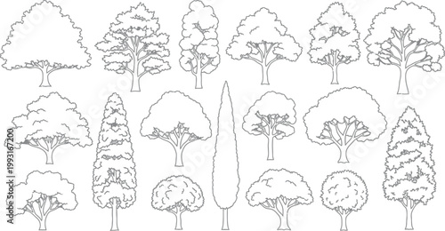 Set of Sixteen Hand Drawn Vector Tree Silhouettes Featuring Diverse Deciduous and Coniferous Species for Architectural Landscape Design Projects