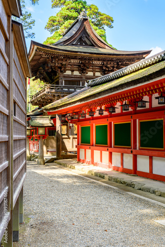 【奈良県】天理市 石上神宮 (2026/04/02撮影)