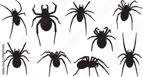 Spider Silhouette Collection for Halloween and Nature Design