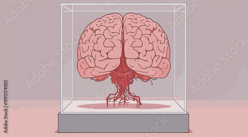Brain in Glass Display Case Illustration