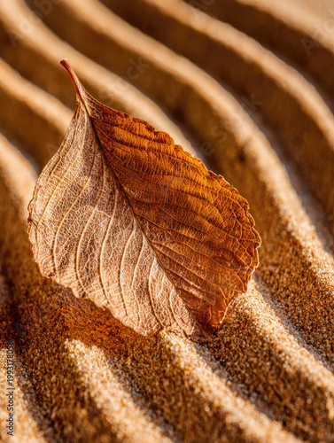 Dried leaf resting on textured sand in zen garden creates peaceful meditation scene inviting mindful walk through natural patterns and earthy tones
