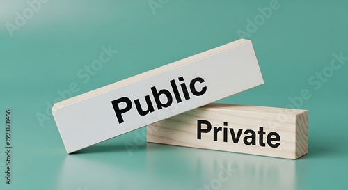 Two wooden blocks with public and private text on a green surface