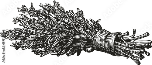 bundle of fresh thyme herb tied with string for culinary use and natural seasoning