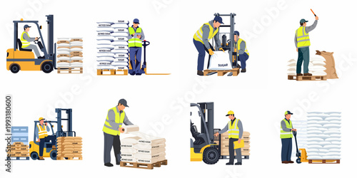Flat vector illustrations of warehouse workers operating forklifts, moving pallets, and handling sacks of sugar in a professional industrial logistics setting.