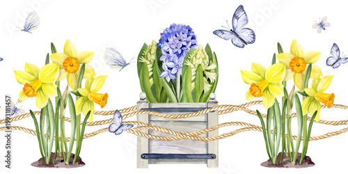 spring themed watercolor seamless border, garden wooden flower box with snowdrops, yellow daffodil, narcissus, blue hyacinths, butterflies on wave background of rope, hand drawn Easter illustration