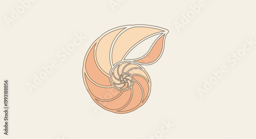 Detailed illustration of a nautilus shell.