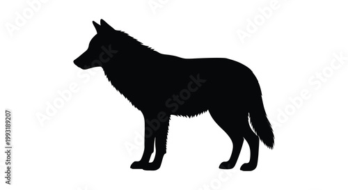 A striking black silhouette of a wolf standing in profile a powerful image silhouette