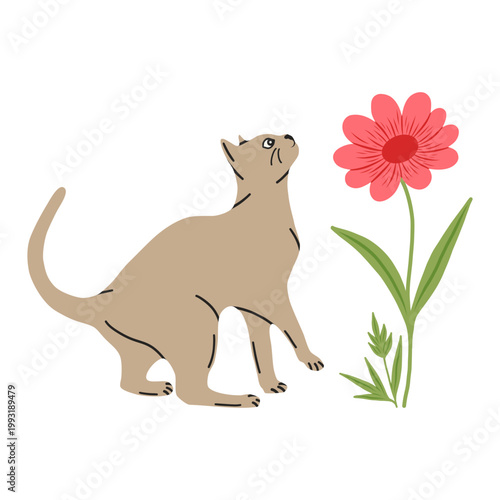 Cat drawing on a white background. Cute kitten in flat style for postcard, banner, web, design, arts. Vector illustration.	