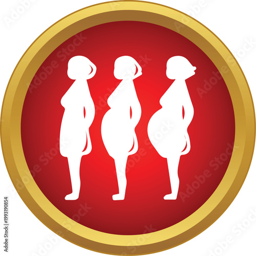 Pregnant women silhouettes illustrating the different trimesters of pregnancy and prenatal development