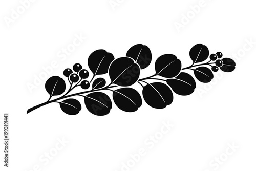 Elegant Monochrome Botanical Eucalyptus Branch Silhouette with Round Leaves and Berries; Minimalist Black Floral Vector Illustration for Wedding Invitations, Nature Decor, and Graphic Design Projects