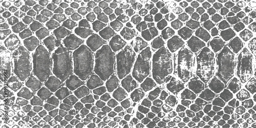 Close-up black and white textured background showcasing a detailed pattern of snake skin scales with a natural, organic arrangement and varying sizes.