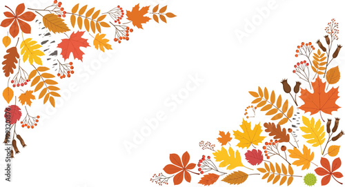 Autumn leaves border frame with colorful foliage on white background