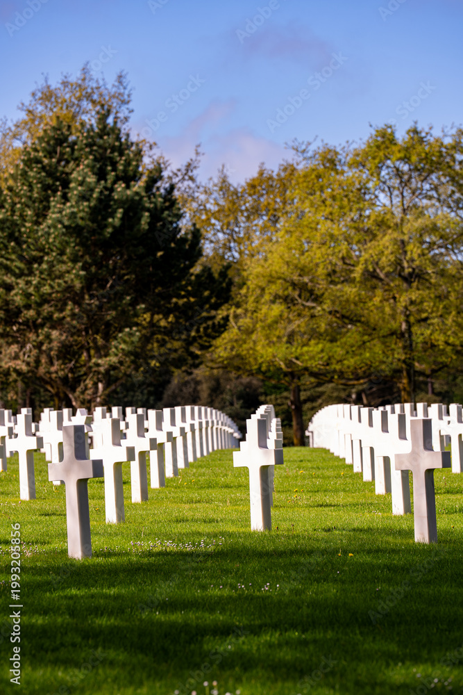 Obraz premium Alignement de croix latines en marbre blanc dans un cimetière militaire verdoyant sous un ciel bleu clair, rendant hommage aux soldats tombés.