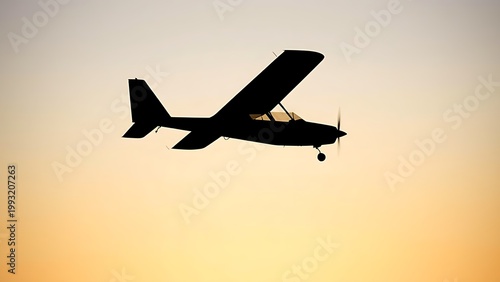 Minimalist silhouette of a monoplane with a single wing against a gradient sky.