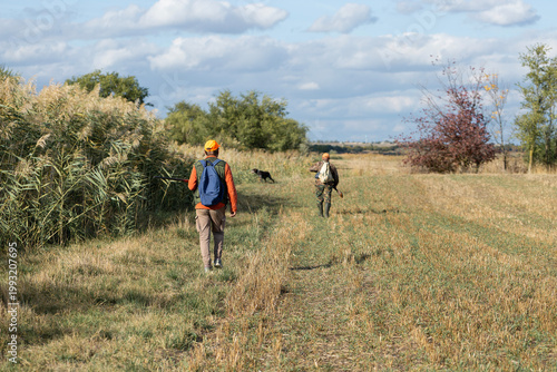 A hunter with a gun in camouflage clothing. A gentleman with a gun, medium shot, unrecognizable.