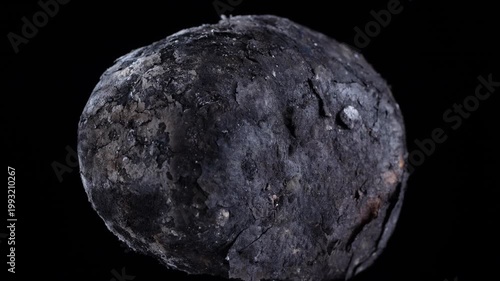 Single baked potato in skin isolated on black background. Macro view of a whole potato baked in coals split open to show fluffy yellow texture. Rustic organic food concept isolated on black, close up