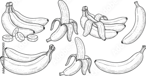 Hand drawn banana set with peeled and unpeeled fruits, sketch style tropical food illustration, organic healthy nutrition concept, detailed vintage vector collection