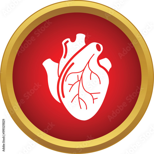 Human heart anatomy showing arteries and veins on a red and gold icon