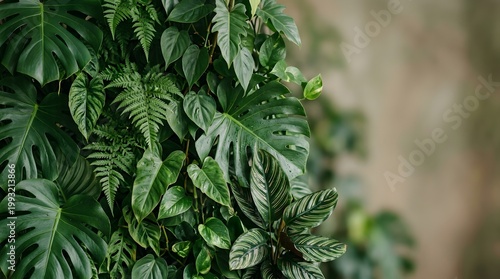Lush green foliage with large leaves and delicate ferns thrives in soft natural light against a blurred earthy background creating a serene and vibrant jungle