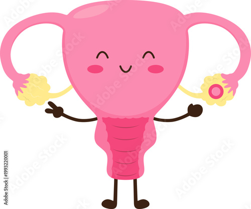 Cute and Kawaii Uterus Follicular Illustration with Menstrual Phase Condition for Reproductive Education, Health. Vector Isolated