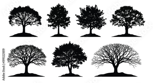 Black silhouette vector graphics of trees in various seasons and styles on a transparent background for creative design