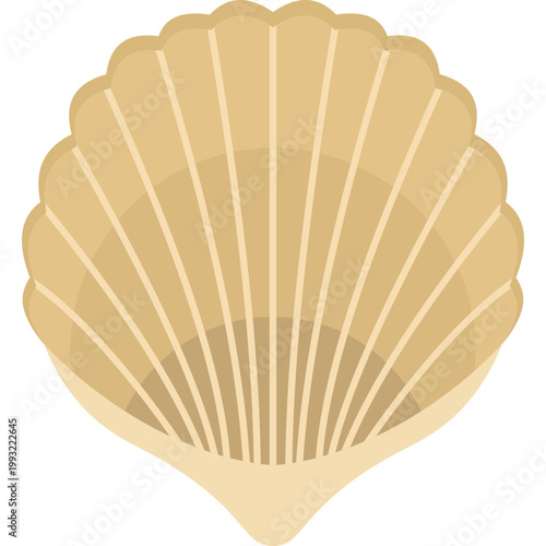 Bivalve Mollusks Icon Flat Design, Clam Shell Seafood Symbol, Marine Life Illustration, Ocean Animal Icon