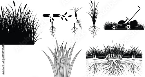 Black silhouette vector icon set of grass growth lawn care maintenance roots seeds and lawn mower elements,