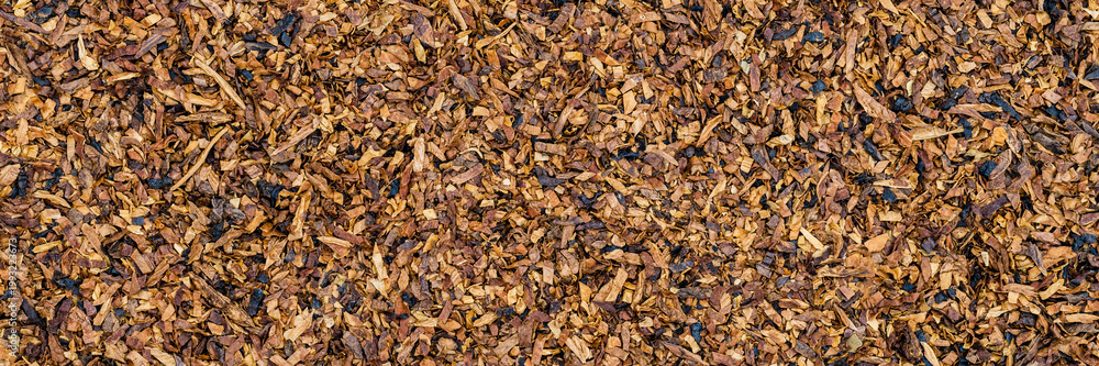 Fototapeta premium Dried brown tobacco leaves scattered on a flat surface in a natural setting
