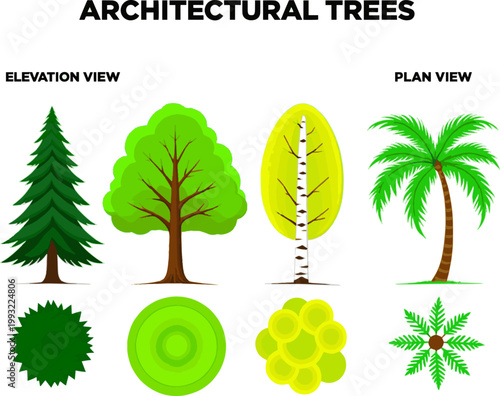 
Create a kinds of deferent Vector trees in elevation and plan view for use in architectural drawings vector art with white background..