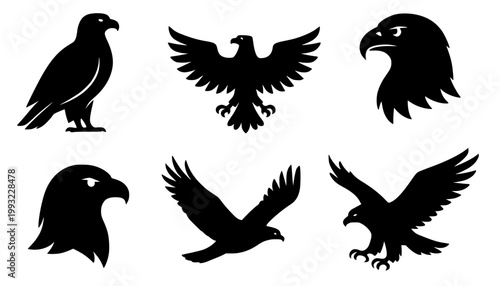 Minimalist eagle icon set, in silhouette style, isolated on transparent background