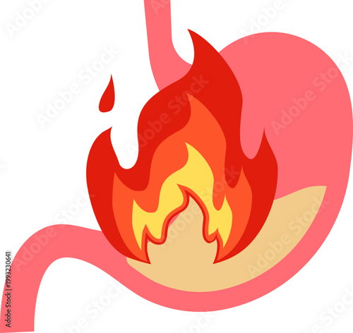 Stomach Fire Icon