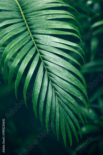 Tropical Green Leaf Closeup Vertical Summer Nature Background with Copy Space
