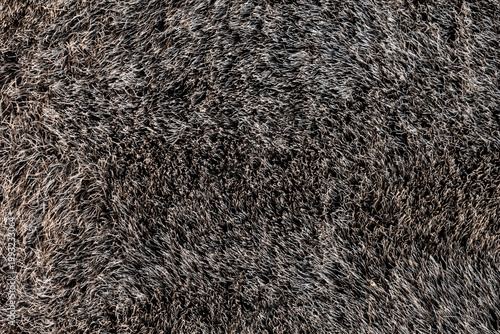 Foto Wild animal fur texture with coarse natural hair pattern