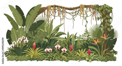 Tropical plants and flowers arrangement.