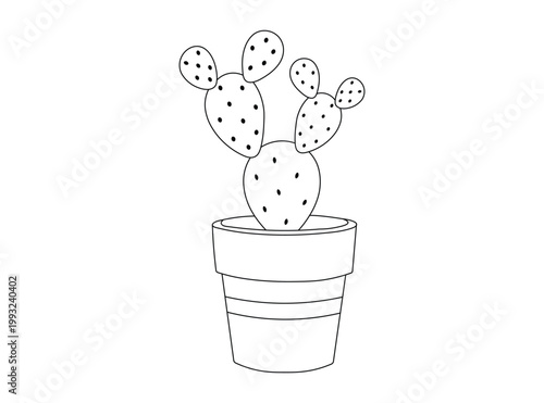 Prickly pear cactus in flower pot drawing as clean vector illustration for garden and botanical design elements