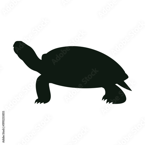 Silhouette of a tortoise on a white background turtle