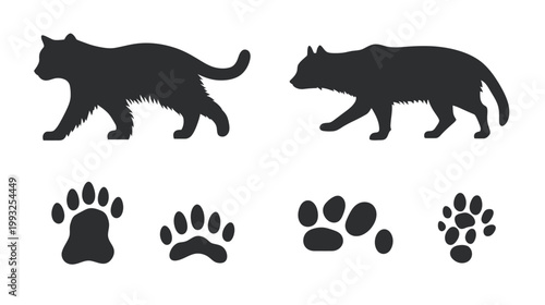 Silhouettes of two felines, one cat-like and one wolf-like, along with four distinct paw prints
